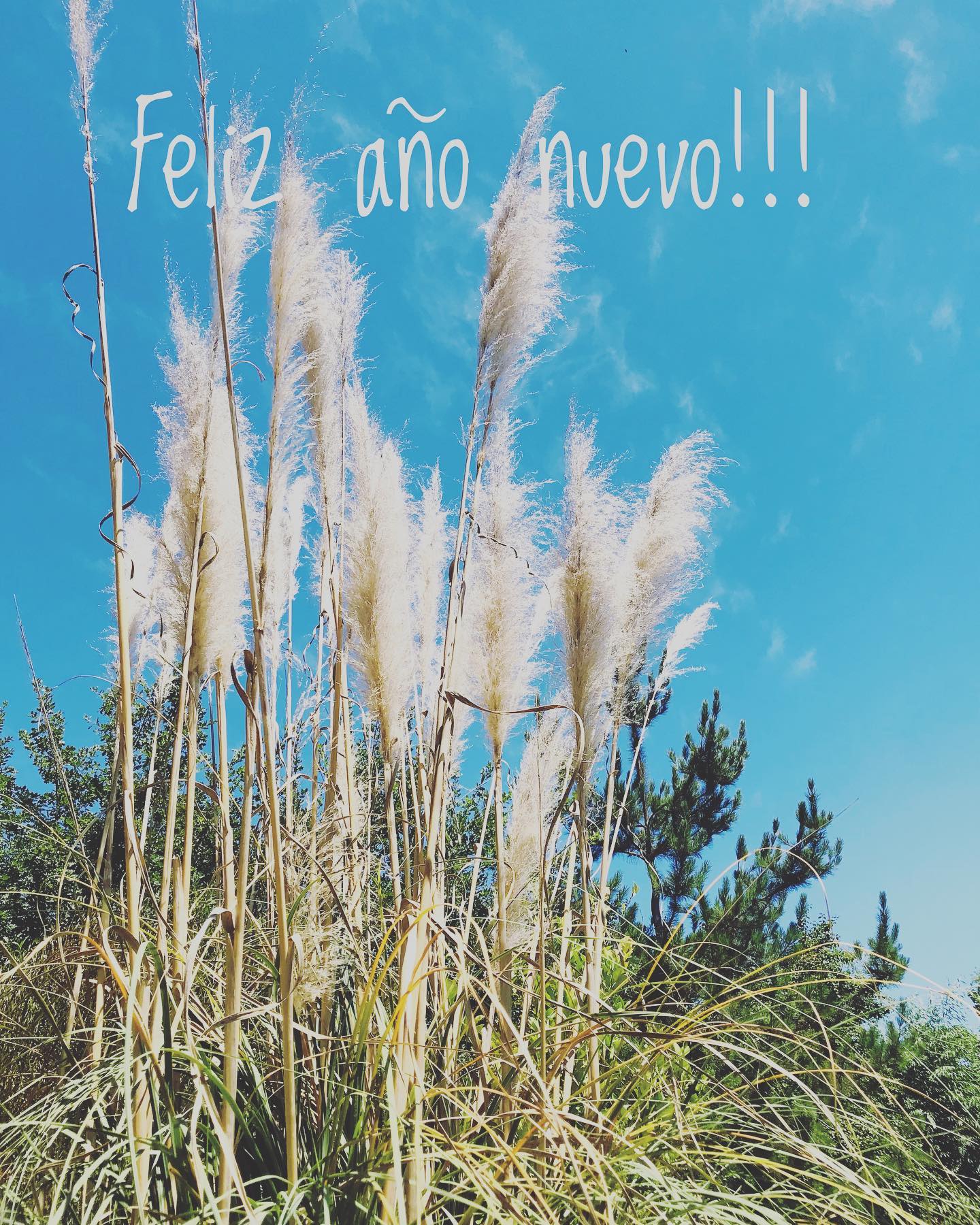 El mundo nos necesita consientes, sigamos en este viaje juntos. Escoge productos con el menor impacto en nuestro hogar 🌎
¡¡¡Feliz reinicio!!!!!!!!
Biopañales.cl
.
.
.
.
.
#mamáprimeriza #biopañales #pañalesdeagua #futuramamá #mamá2022 #mamáecológica #pañalesecológicos #santiagochile
