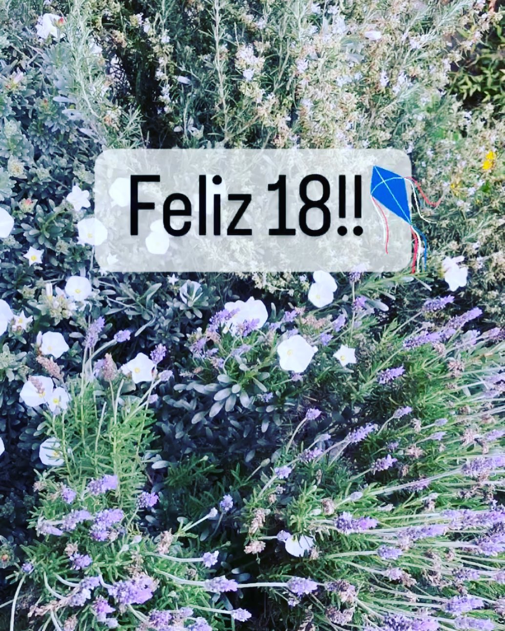 Feliz 18!! Que se rodeen de buena onda y biopañales😆😆.
El martes volvemos con todo 🚙
www.biopañales.cl
.
.
.
.
.
.
.
.
#biopañales
#pañalesbebé
#delivery
#pañales
#pañalesecológicos
#santiagochile