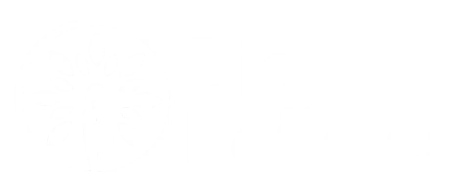 biopañales pañales ecologicos biodegradables